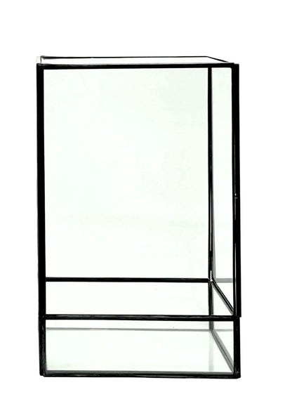 Geometrisches Terrarium Paradiso Naturale 2TR076