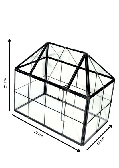 Geometrisches Terrarium Naturtruhe 2TR061