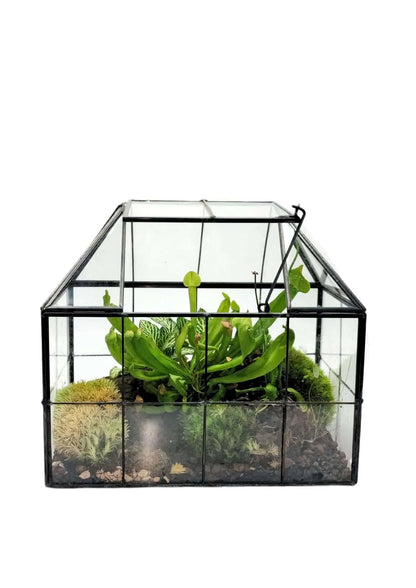 Geometrisches Terrarium Naturtruhe 2TR061