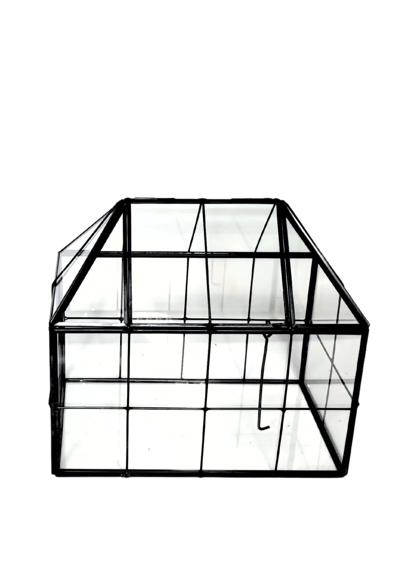 Geometrisches Terrarium Naturtruhe 2TR061