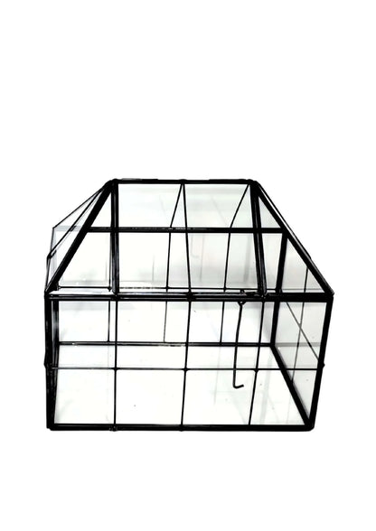 Geometrisches Terrarium Naturtruhe 2TR061