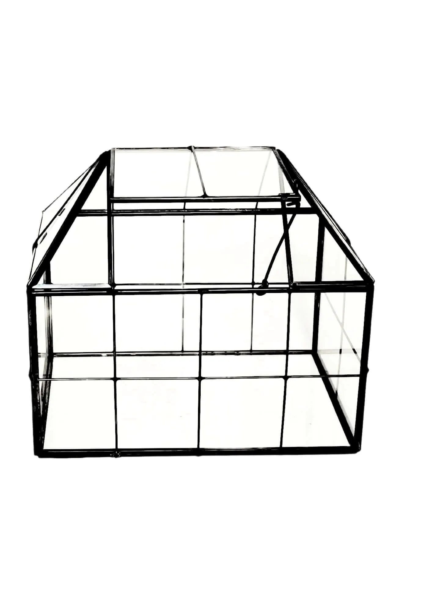 Geometrisches Terrarium Naturtruhe 2TR061