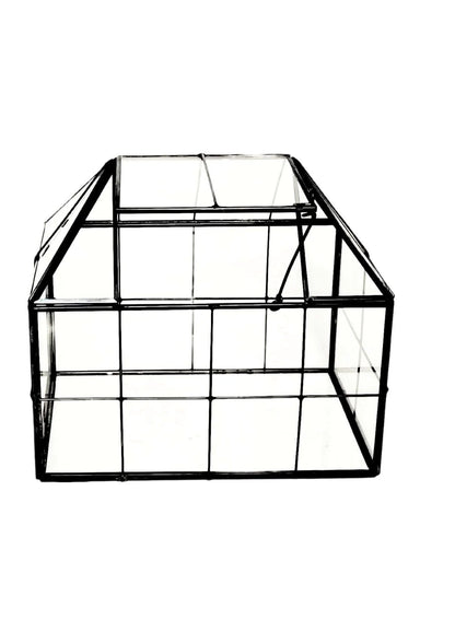 Geometrisches Terrarium Naturtruhe 2TR061