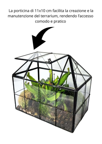 Geometrisches Terrarium Naturtruhe 2TR061