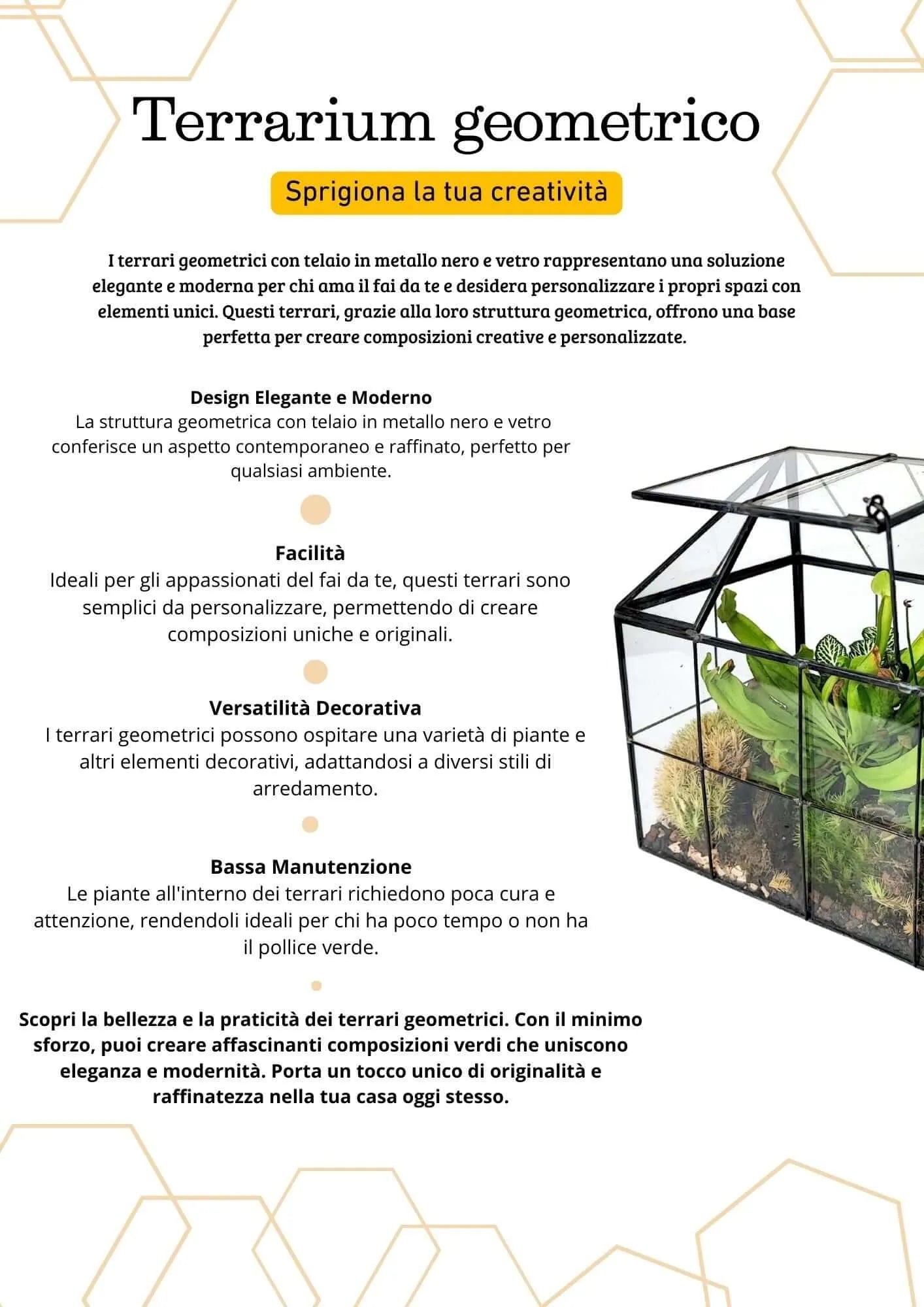 Geometrisches Terrarium Naturtruhe 2TR061