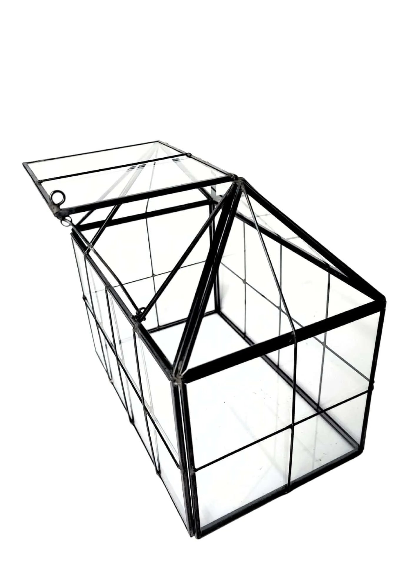 Geometrisches Terrarium Naturtruhe 2TR061
