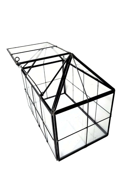 Geometrisches Terrarium Naturtruhe 2TR061