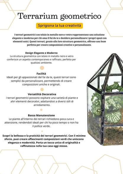 Terrarium geometrico Serra di Cristallo