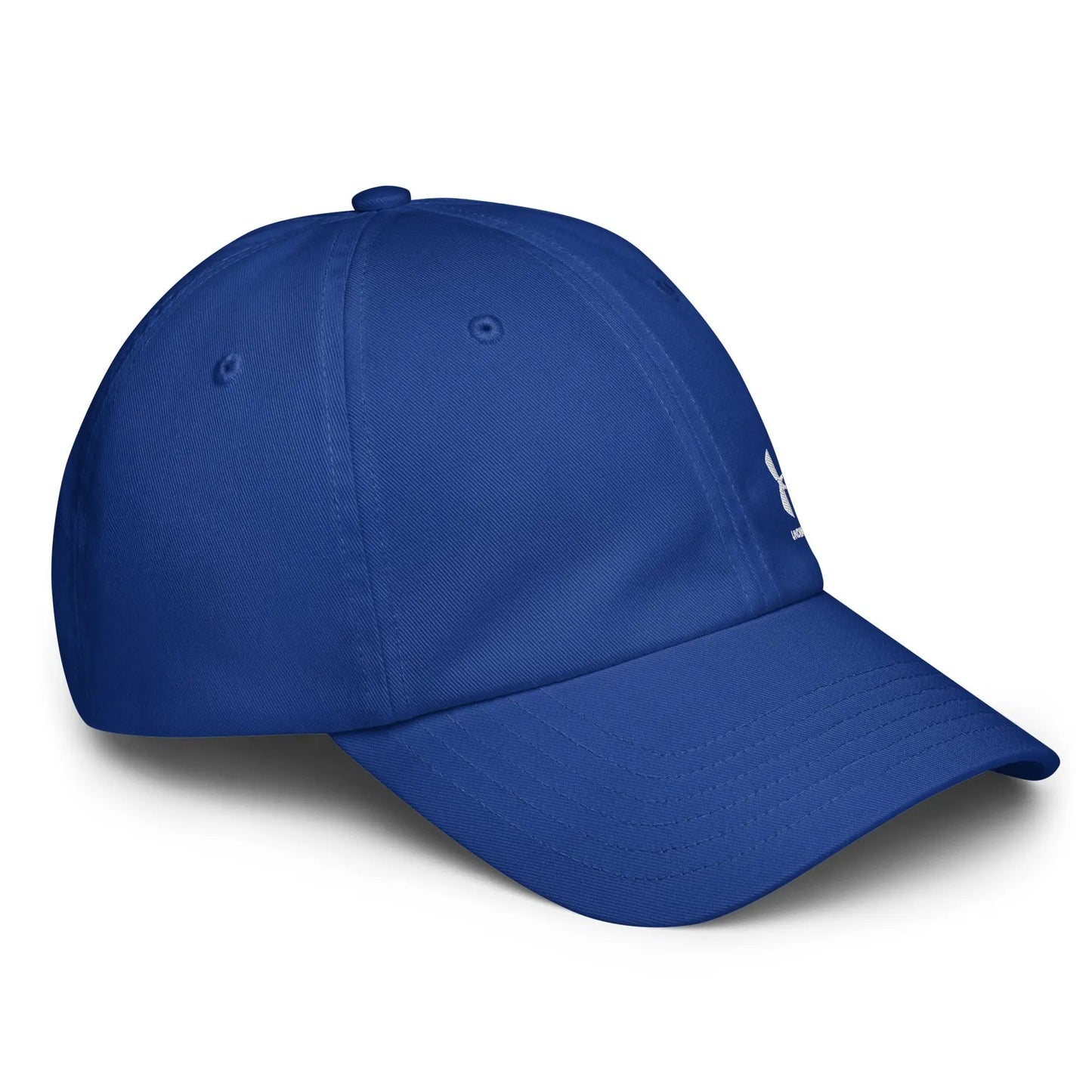 Cappellino Under Armour  Stile e Performance
