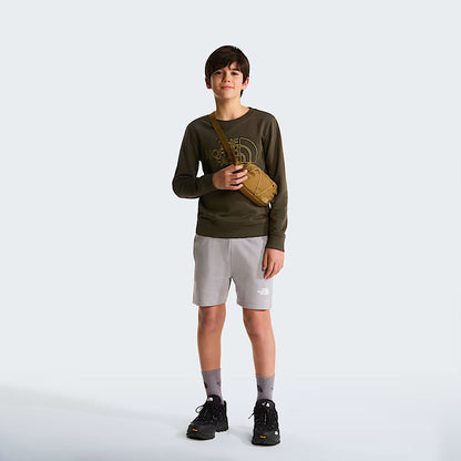 The North Face Felpa Drew Peak Junior Verde New Taupe Green - NF0A8AXX21L